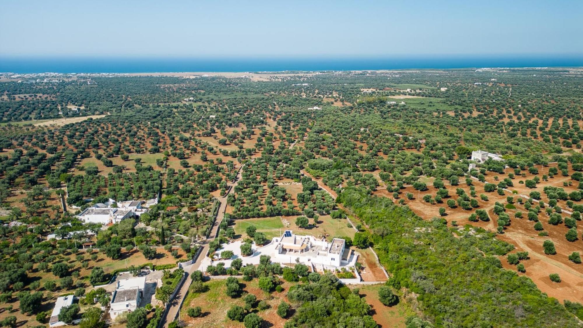 Masseria Abadia Uno Остуни Экстерьер фото